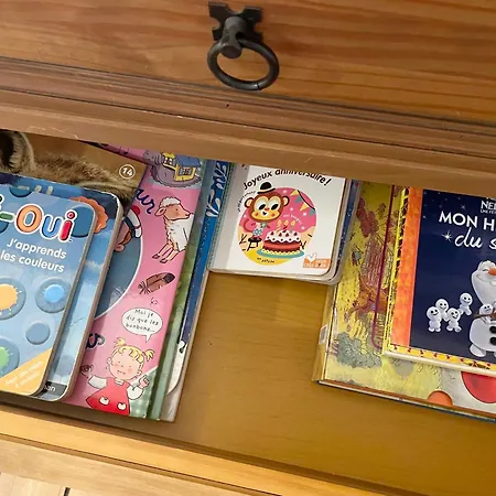 Joli T4 Au Coeur De Berck-plage Appartement Berck